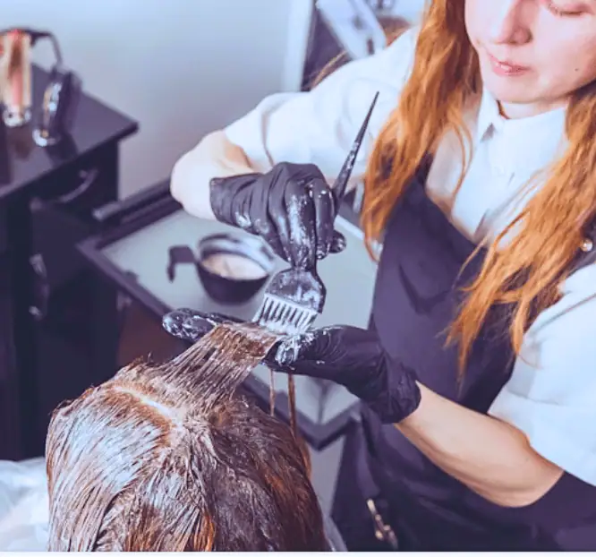 hair color application by top stylists at Rani Beauty Lounge